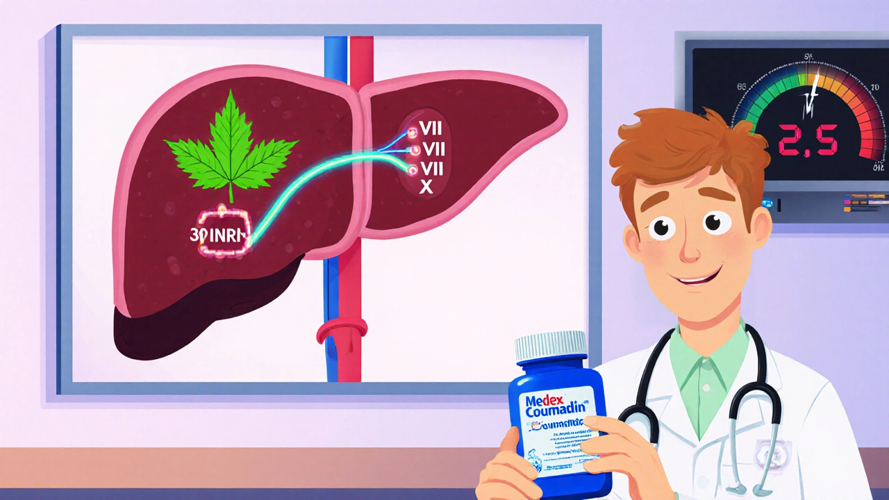 Medex (Coumadin) vs Alternative Anticoagulants: Complete Comparison