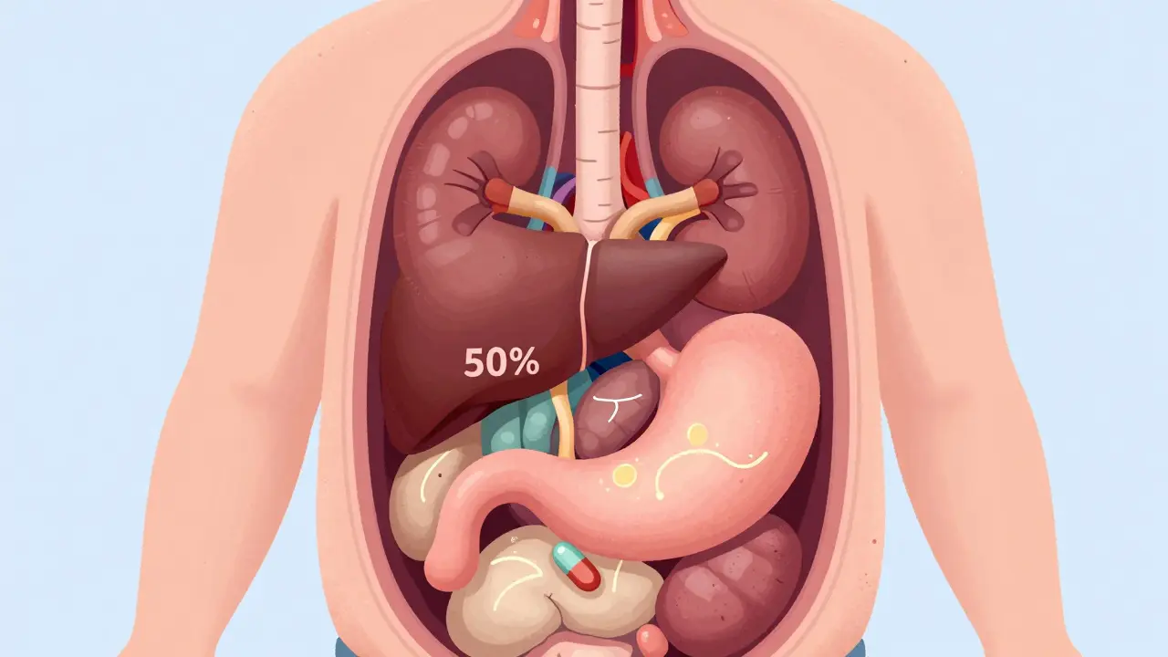 A stylized aging body showing reduced liver and kidney function with visualized drug metabolism changes.